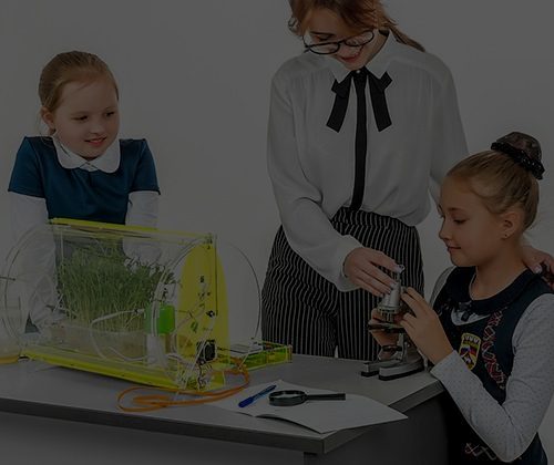 Кадр из ролика: Практикум «Чудо-грядка»
